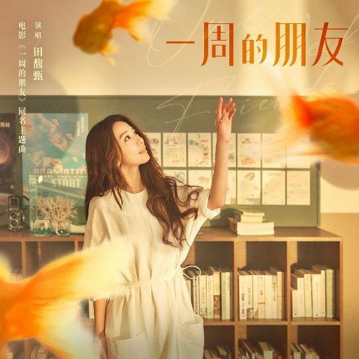 [db:seo标题]