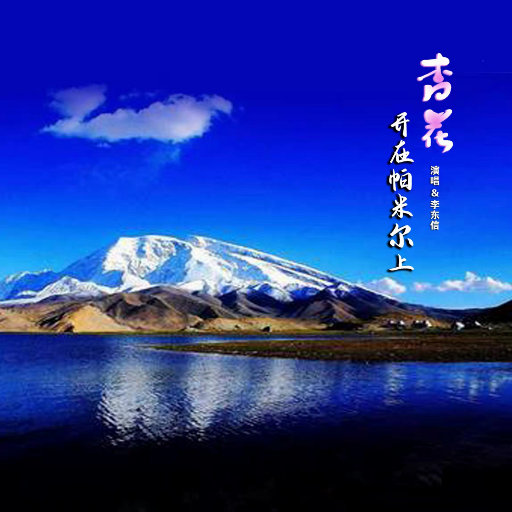 [db:seo标题]