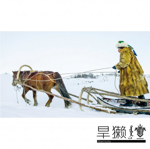[db:seo标题]