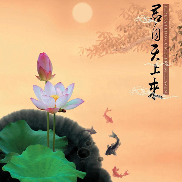 [db:seo标题]