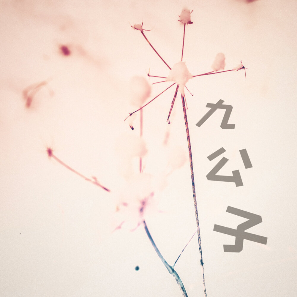 [db:seo标题]