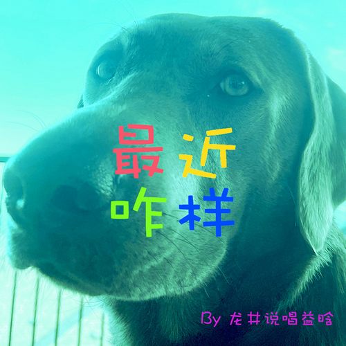 [db:seo标题]