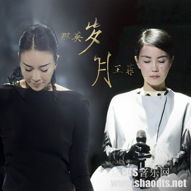 [db:seo标题]