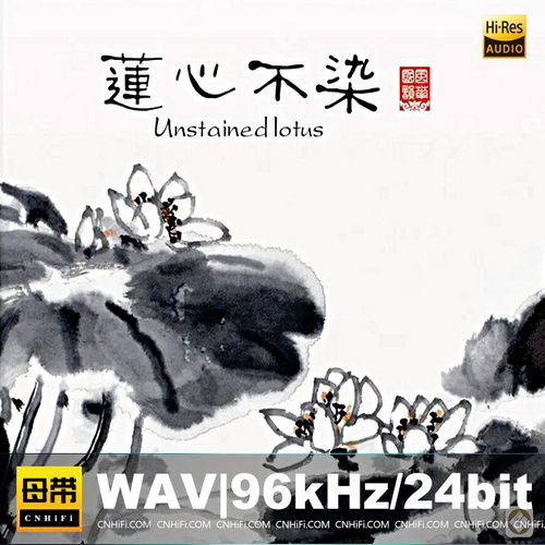 [db:seo标题]