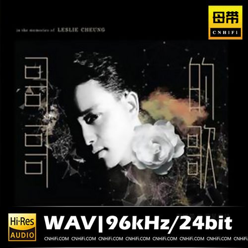 [db:seo标题]