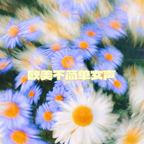[db:seo标题]