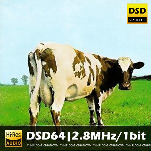 [db:seo标题]