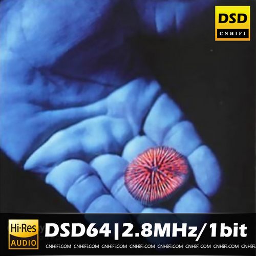 [db:seo标题]
