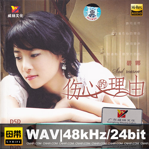 碧娜 – 伤心的理由无损音乐-高解析音源-Hi-Res无损音源HIRES SHOP