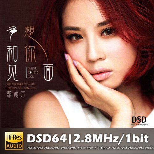 邓旭方 多想和你见一面无损音乐-高解析音源-Hi-Res无损音源HIRES SHOP