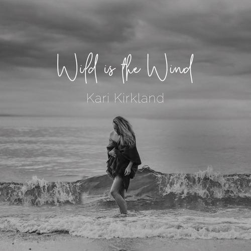 Wild Is the Wind无损音乐-高解析音源-Hi-Res无损音源HIRES SHOP