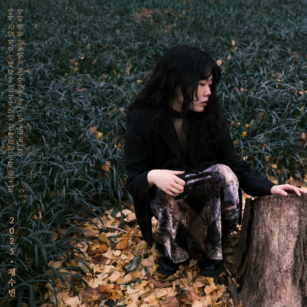 Chae Soobin – [2025채수빈]2025ChaeSoobin无损音乐-高解析音源-Hi-Res无损音源HIRES SHOP