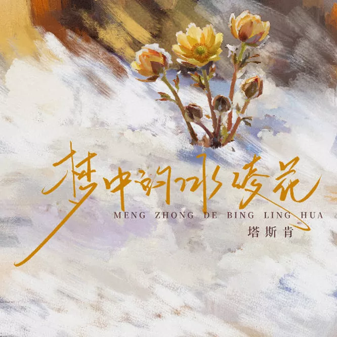 [db:seo标题]