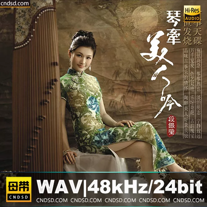 段银莹 《琴牵美人吟》母带级金碟无损音乐-高解析音源-Hi-Res无损音源HIRES SHOP