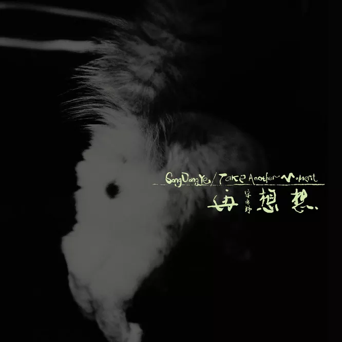 宋冬野  – 再想想无损音乐-高解析音源-Hi-Res无损音源HIRES SHOP
