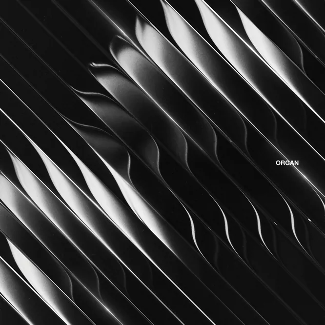 Dimension – Organ无损音乐-高解析音源-Hi-Res无损音源HIRES SHOP