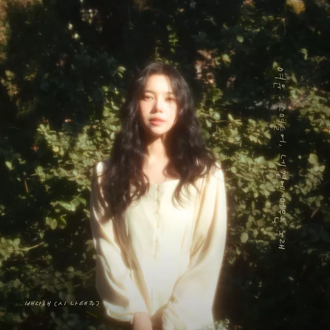BaeDaHae – Afterglow; Songs That Linger Beside You无损音乐-高解析音源-Hi-Res无损音源HIRES SHOP